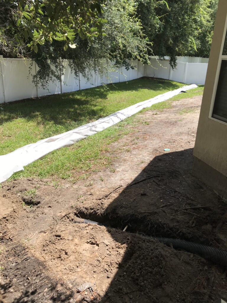 Sod and Drainage